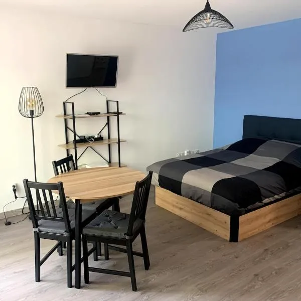 Appartement T1 proche aéroport，位于圣雅克德拉朗德的酒店