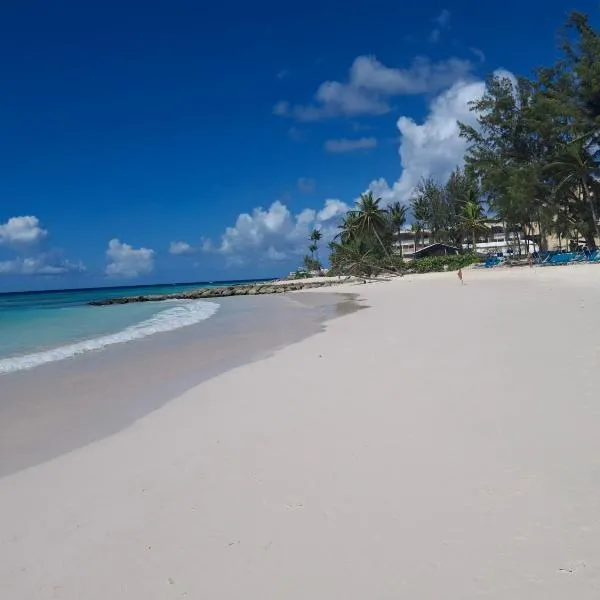 BLR Villas Dover Beach，位于基督教堂市的酒店