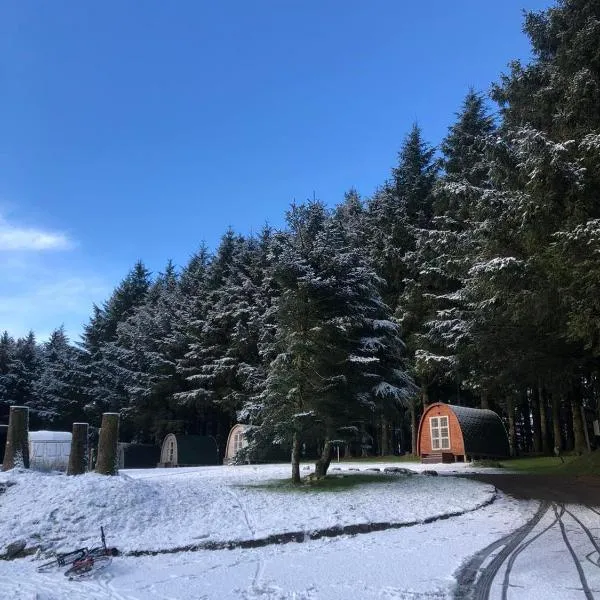 Colliford Lake Hotel & Campsite，位于Bolventor的酒店