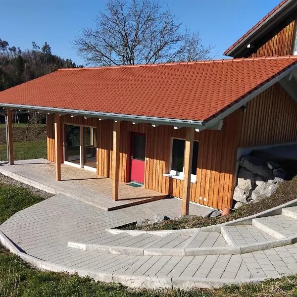 Ferienhaus nähe Bodensee，位于诺伊基希的酒店