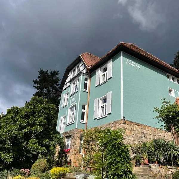 Apartmán Waldruh s terasou，位于Jalŭvčí的酒店