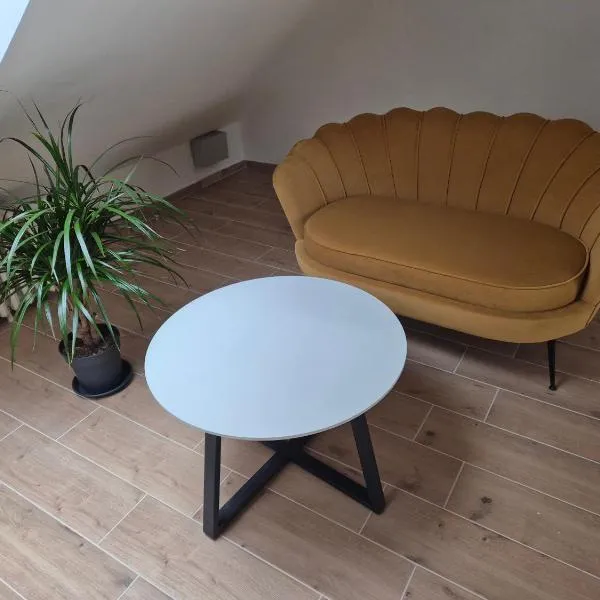 Apartmán Hugo，位于普罗斯捷约夫的酒店