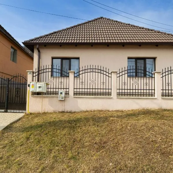 Casa Vultur，位于锡吉什瓦拉的酒店