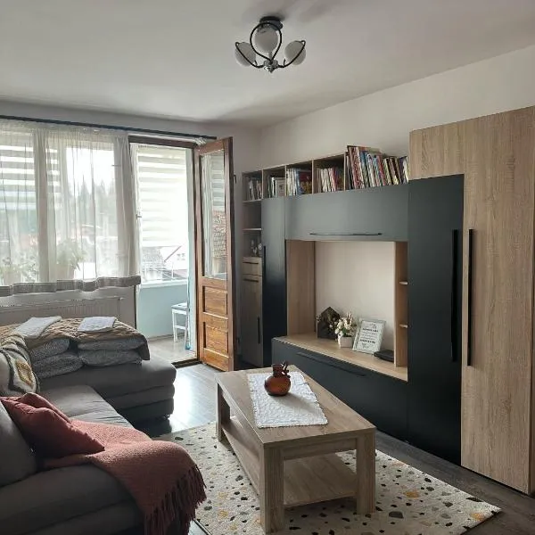 Apartament de închiriat，位于博尔塞克的酒店