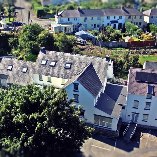 Ivybridge Guesthouse，位于菲什加德的酒店