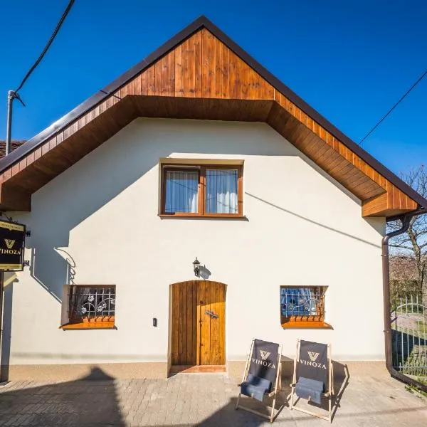 Vinoza - ubytování a vinný sklep Moravský Žižkov，位于Moravský Žižkov的酒店