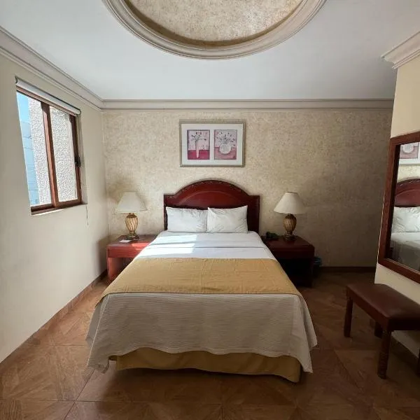 Hotel Plaza Express，位于托雷翁的酒店