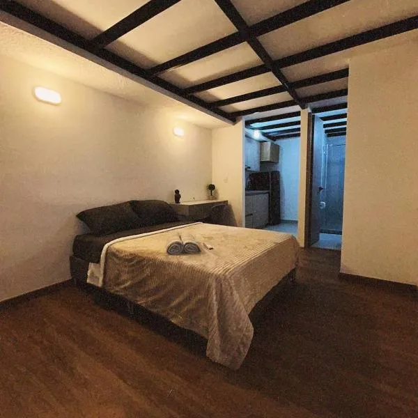 Relajante y Cómodo Apartaestudio en La Rambla，位于马尼萨莱斯的酒店