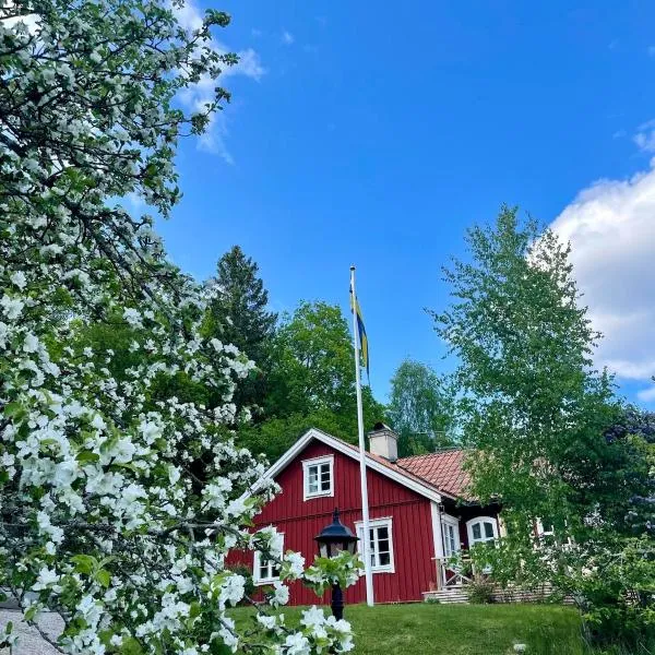 Williamsro，位于玛丽费莱德的酒店