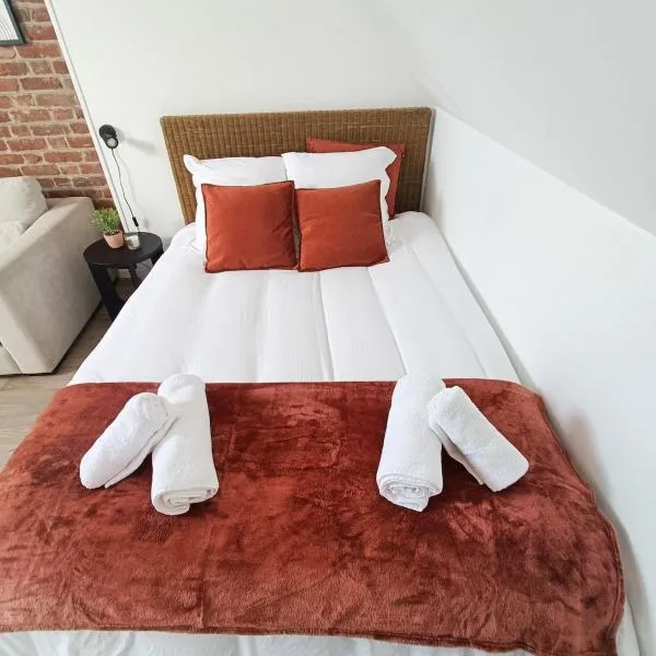 Les Briques Rouges, Appartement Béthune，位于贝休恩的酒店