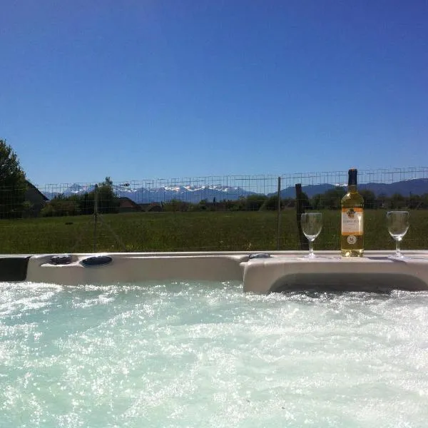 Duplex maison GRAND SPA 62 jets massants face Pyrénées，位于Livron的酒店