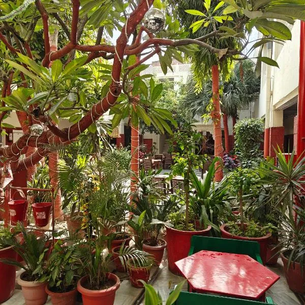 HOTEL TOURIST REST HOUSE Agra，位于阿格拉的酒店