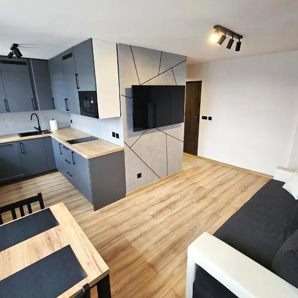 Apartament Novoczesny - Self check-in，位于佩霍维采的酒店