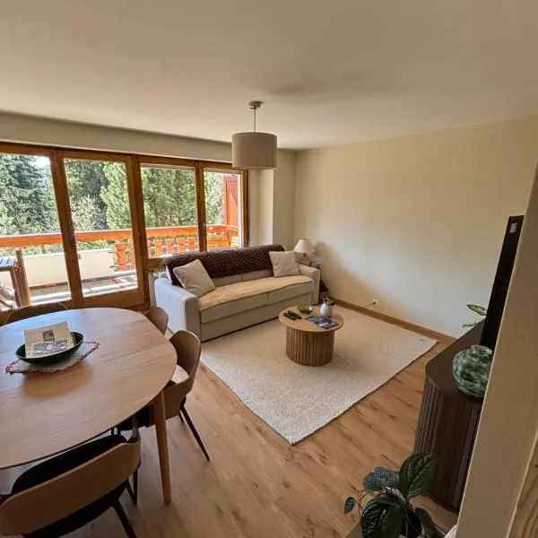 Appartement Crans-Montana，位于克莱恩 蒙塔纳的酒店