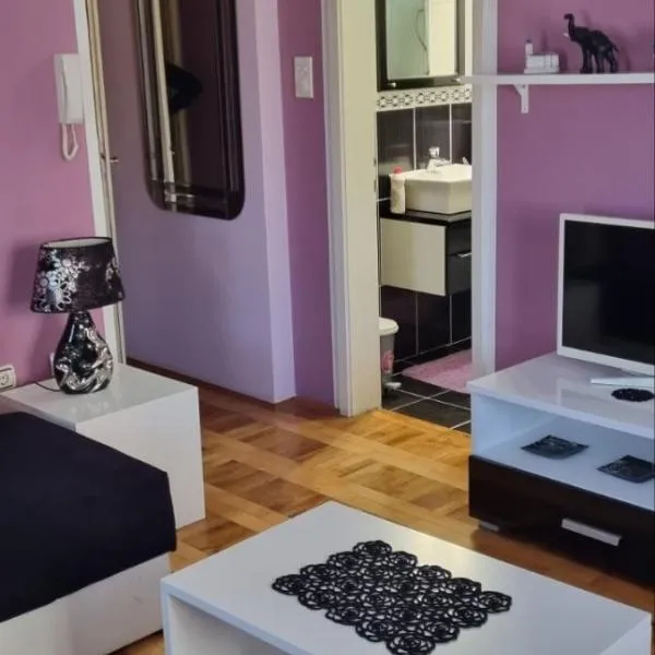 Apartman VASKE，位于沙巴茨的酒店