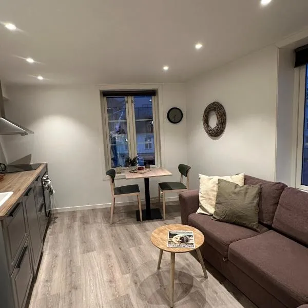 Central apartment in Kragerø，位于克拉格勒的酒店