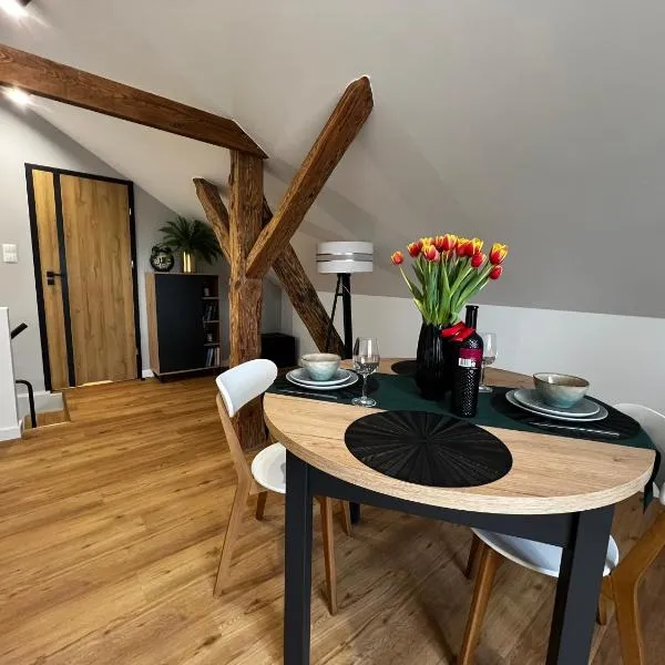 Do Brzegu Lepiej - Siedlisko Jemiołowo - Apartamenty Blisko Jeziora II，位于奥尔什蒂内克的酒店