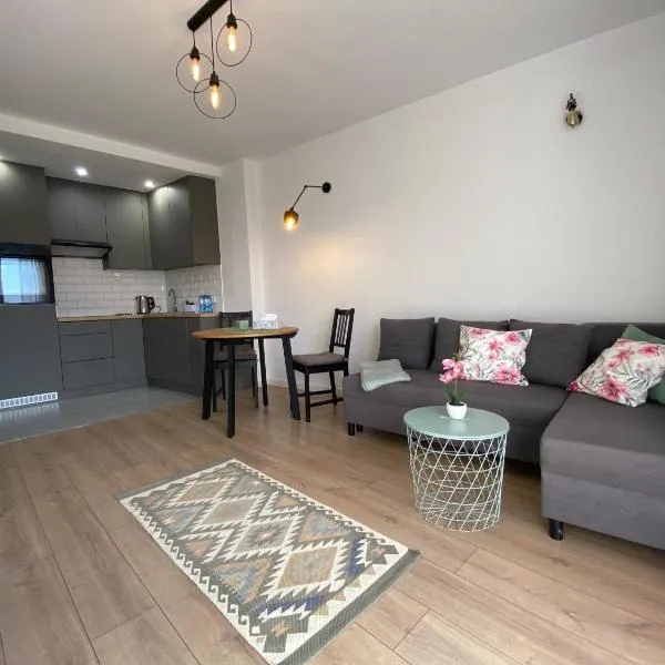 Apartament Nad Stawem，位于Klecza Dolna的酒店