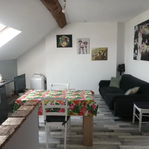 Appartement climatisé avec parking privé gratuit，位于杜埃拉丰坦的酒店