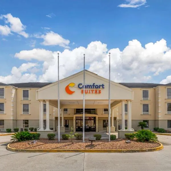 Comfort Suites Port Allen - Baton Rouge，位于艾伦港的酒店