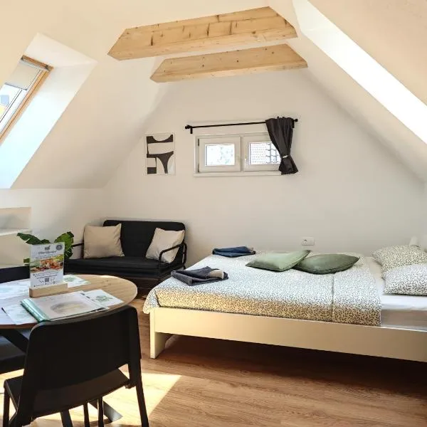 Slovenian House Mira，位于佐尔尼耶戈迪的酒店