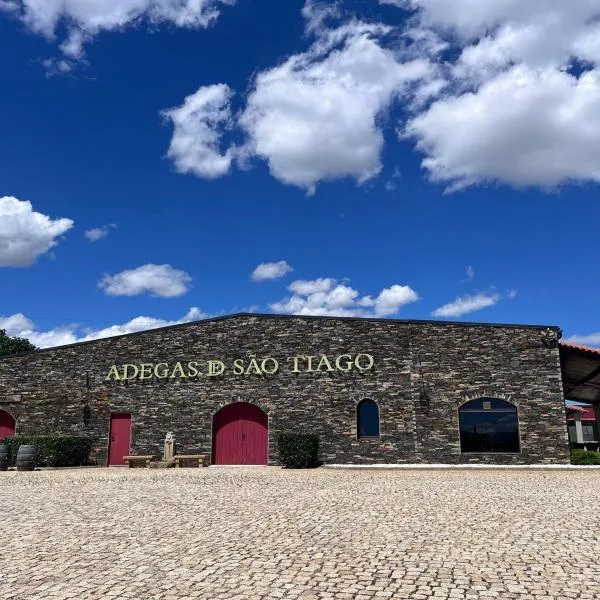 Tranca da Barriga - Casa do Vinho by Quinta De São Tiago，位于科维良的酒店