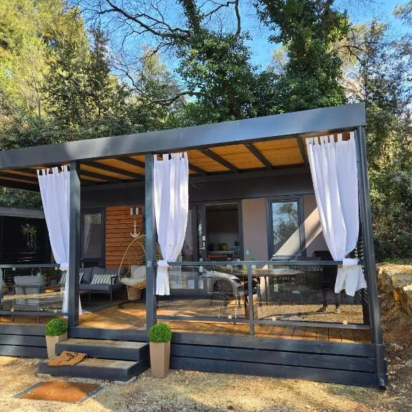 Mobile Home Itana Nr 127，位于罗维尼的酒店