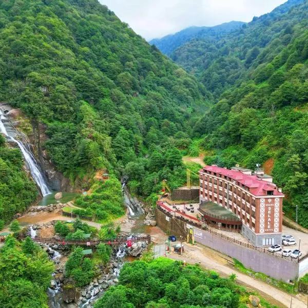 Grand Şelale Hotel，位于Cayeli的酒店