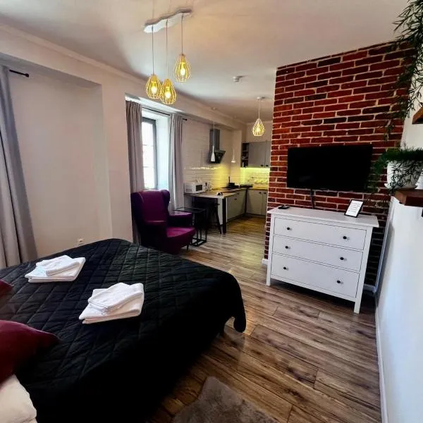Apartamenty Łowicz，位于沃维奇的酒店