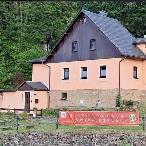 Ferienhaus Schmalzgrube，位于Jöhstadt的酒店