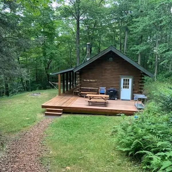 Pine Hill FLX Retreat，位于Cohocton的酒店