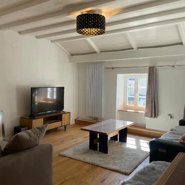 Ferienhaus Schiefertraum，位于Fell的酒店