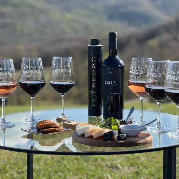 Terre di GIORGIO Agriturismo Villa la Palazzetta，位于卡斯蒂戈隆·多尔希亚的酒店