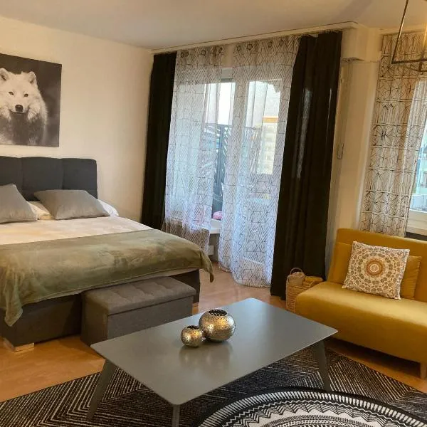 Appartement 1,5 pces，位于弗里堡的酒店