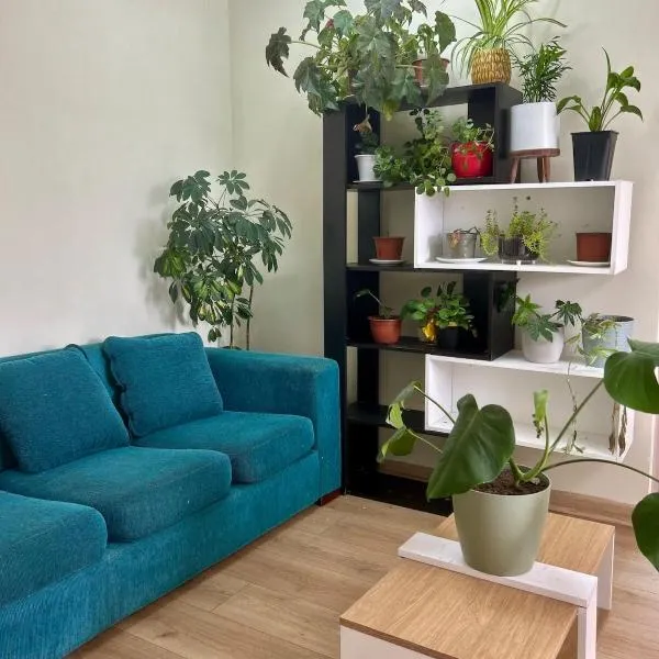 Amplio departamento，位于特木科的酒店