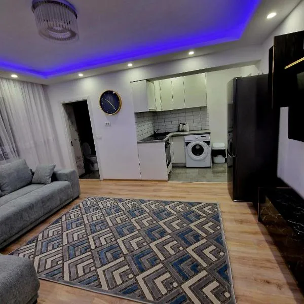 Cosy Vibe，位于瓦斯卢伊的酒店