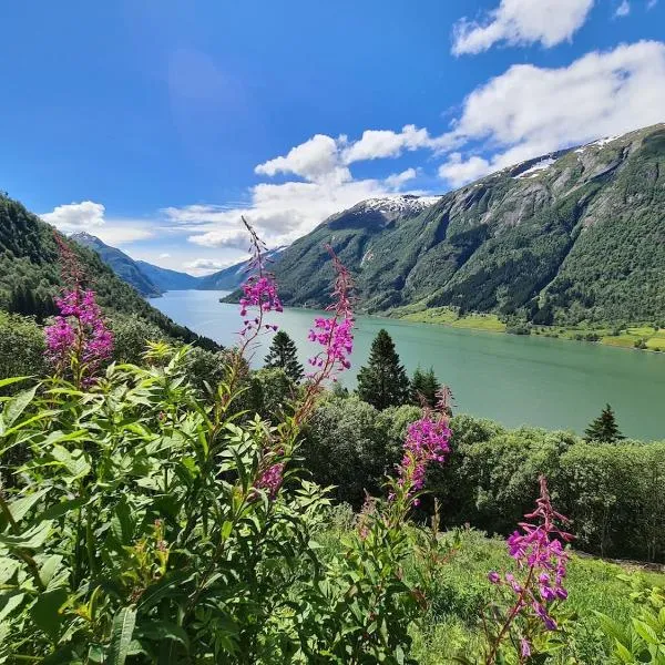 Over the Fjord，位于莱康厄尔的酒店
