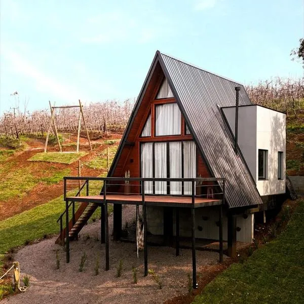 Cabana Dolce Vino，位于弗赖堡的酒店