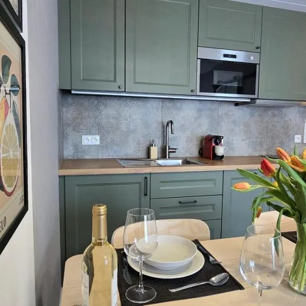 Apartament Słoneczna Zatoka Jantar Resort by TriApart，位于詹塔尔的酒店