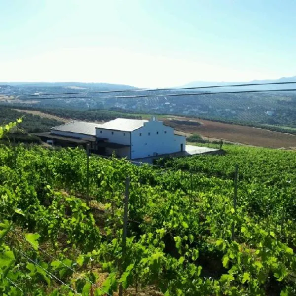 Bodegas Morosanto，位于La Cimada的酒店