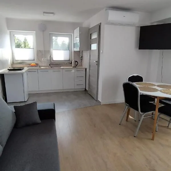 Apartament II Na Słonku，位于Dzierzgoń的酒店