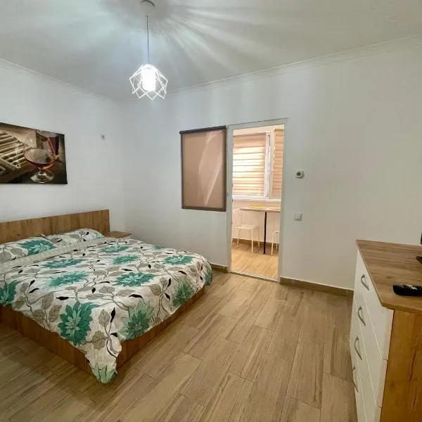 Militari Comfort Studio，位于Roşu的酒店