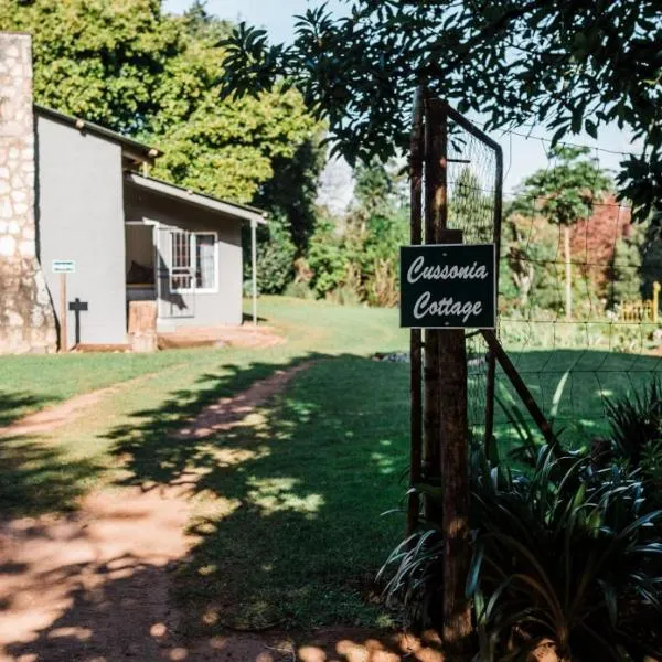 Cussonia Cottage，位于哈内茨堡的酒店