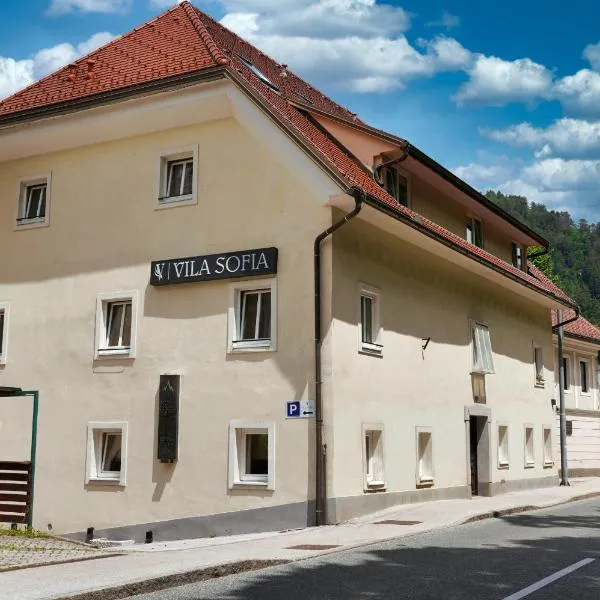 Vila Sofia，位于特尔日奇的酒店