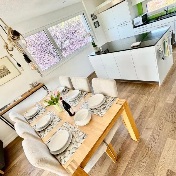 Grosse Wohnung mit Sauna，位于Huttwil的酒店