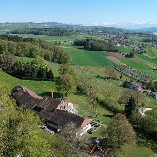 Vitabella Rügel，位于Seengen的酒店