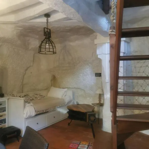 Maison Troglodyte，位于Saint-Léger-de-Montbrillais的酒店