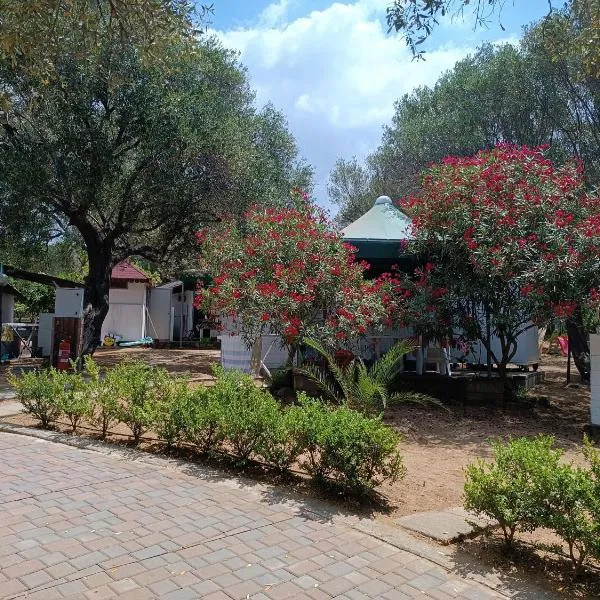 Camping Amanti Del Mare，位于帕利努罗的酒店