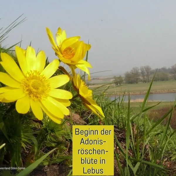 Ferienhaus Lebuser Land für bis zu 4 Personen mit 1300 qm Garten und Privatsauna, grandiosen Blick über die Oder, sonntags late check out bis 18 Uhr inklusive，位于Lebus的酒店