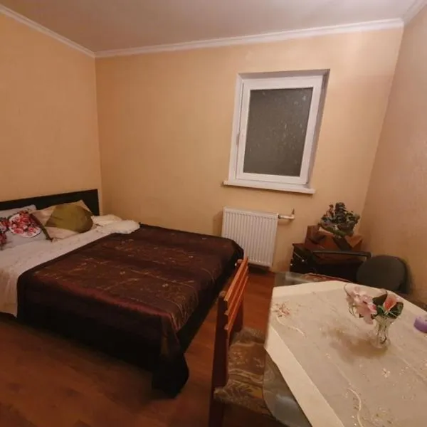Genius guest House in center City，位于基希讷乌的酒店